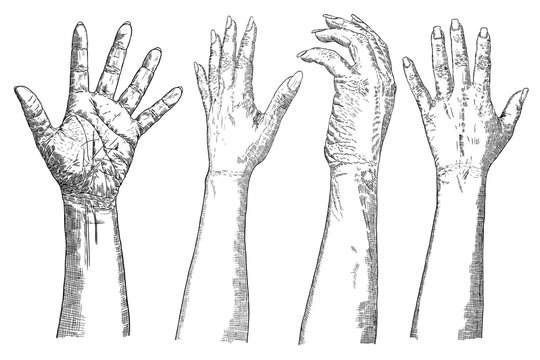 Girl hands gestures on white background set. Vector.