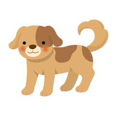 Cute dog on white background