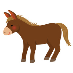 Cute horse on white background