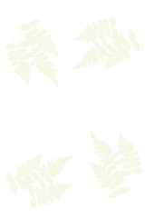 zielone liście na białym tle © elisabeth3