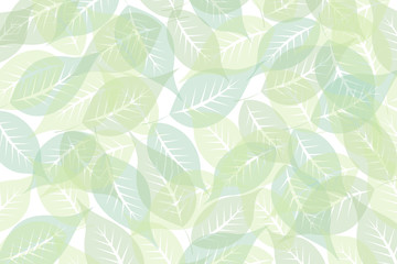 Fototapeta zielone liście na białym tle obraz
