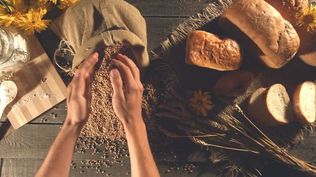 Still life with bread, wheat, flour and flowers.
Men's hands take a handful of wheat grains from a sack and pour them back into the bag. Slow motion. Top view. Horizontal ( from right to left ) pan.