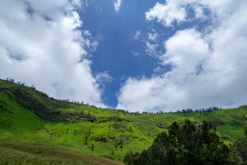 Savannah of Bromo, a green hilly area looks green throughout the year, people used to call it as Teletubbies Hill. 
