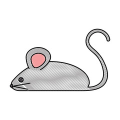 little mouse isolated icon vector illustration design