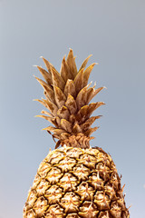 A Gold Pineapple Pattern On A Pastel sky Background