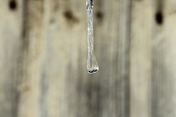 Beautiful transparent hanging icicle close-up. Background.