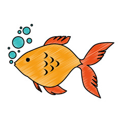 cute ornamental fish with air bubbles vector illustration design