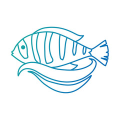 cute ornamental fish icon vector illustration design