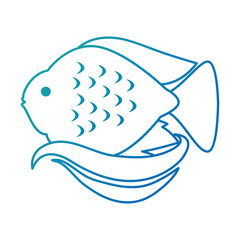 cute ornamental fish icon vector illustration design