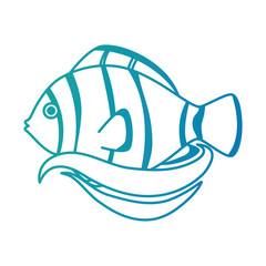 Obraz premium cute ornamental fish icon vector illustration design