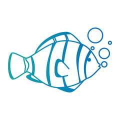 cute ornamental fish with air bubbles vector illustration design