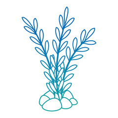 aquarium decorative seaweed icon vector illustration design