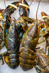 Lobsters for sale on ice