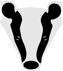 Eurasian badger © luis sandoval