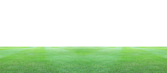 Green grass field on a white background.