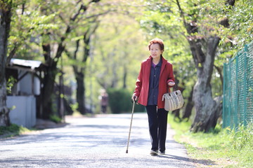 新緑の中を歩く高齢者女性