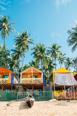 Tropical palm trees and bungalow in Palolem beach, Goa, India