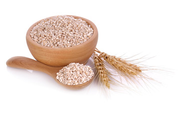 White sorghum isolated on white background.