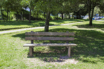 Isolated wooden bench in a park surrounded by grass and trees. Rest concept