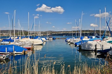 Fototapeta na wymiar Bootshafen / Hafen der Stadt Zürich am Zürichsee - Schweiz. Schweizer See mit Segelboote, Motorboote, Segelschiffe, Segelyacht
