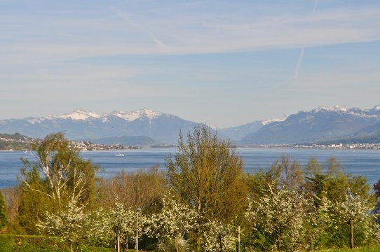 Blick auf den Z&uuml;richsee und die Glarner Berge - Alpen von der Halbinsel Au aus, in der Schweiz