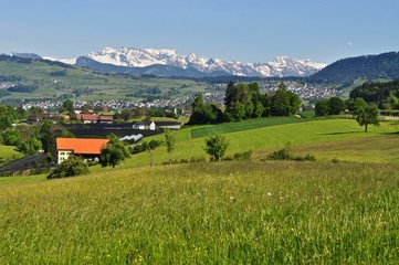 Landschaft Zimmerberg mit Wiesen und Bäumen bei Horgen Oberdorf mit Blick auf die Gemeinde...
