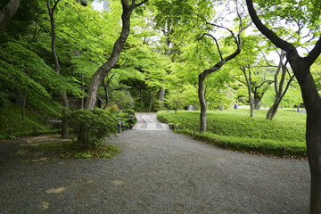 Fototapeta premium 日本庭園