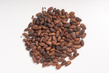 Semillas de Cacao