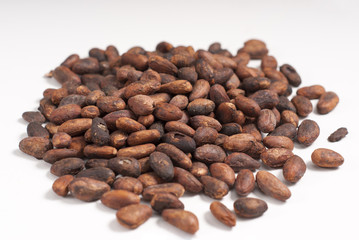Semillas de Cacao