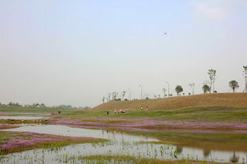 Fototapeta na wymiar The landscape of dongting lake.