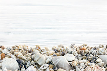 seashell border on white wooden background. summer holidays concept 