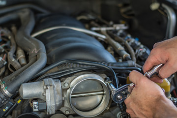 Engine Bay