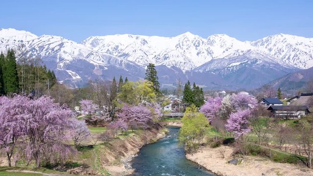 春の大出公園