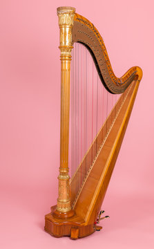 golden harp on a pink background