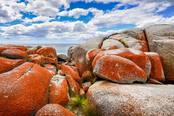 Beautiful sunny summer coast view from Bay Of Fires to blue Tasman Sea with crystal clear water surrounded by red orange colorful shore rocks and white sandy beach, Binalong Bay, Tasmania, Australia
