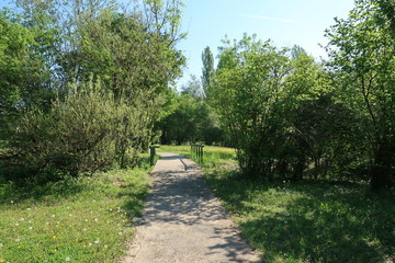Pathway in the Parc du Bachais