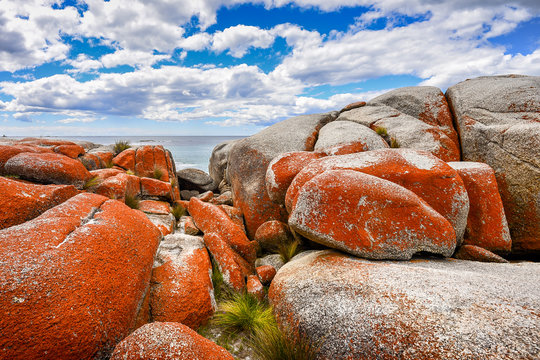 Beautiful Sunny Summer Coast View From Bay Of Fires To Blue Tasman Sea With Crystal Clear Water Surrounded By Red Orange Colorful Shore Rocks And White Sandy Beach, Binalong Bay, Tasmania, Australia