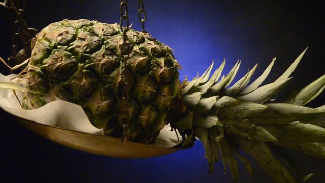 Ananas comosus Ananasso אננס パイナップル &Alpha;&nu;&alpha;&nu;ά&sigmaf; &omicron; &epsilon;ύ&kappa;&omicron;&mu;&omicron;&sigmaf; video Anan&agrave;s Pineapple Pynappel अनानास Ананас 