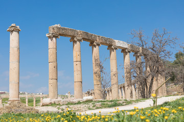 Fototapeta premium View on the ancient Roman Theater located in capital of Jordan, Amman