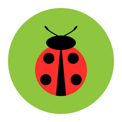 ladybug icon vector