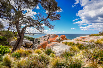 Beautiful sunny summer coast view from Bay Of Fires to blue Tasman Sea with crystal clear water surrounded by red orange colorful shore rocks and white sandy beach, Cosy Corner, Tasmania, Australia