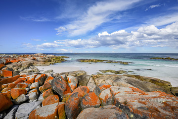 Beautiful sunny summer coast view from Bay Of Fires to blue Tasman Sea with crystal clear water...
