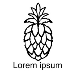 Pineapple sketch icon, logo