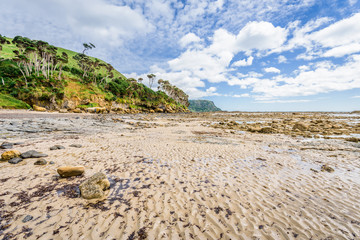 Stunning view to stunning rocky sandy limestone beach water cliffs of Bass Strait on warm sunny day with cloud sky hiking walking relaxing Fossil Bluff, Wynyard, Table Cape Tulip, Tasmania, Australia