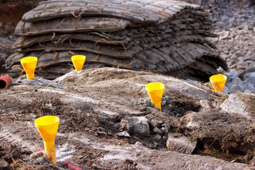 Hole plugs (collar cones) inserted  in dynamite holes in rock blasting site , safe mats in background