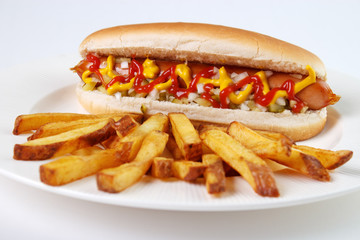 Hot dog with french fries on white plate..