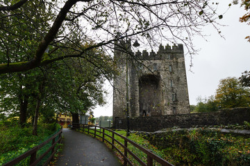 Fototapeta premium Ireland RoadTrip