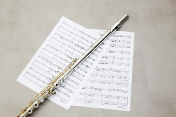 Fototapeta premium My hobby is playing the flute.