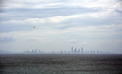 Gold Coast skyline view from Rainbow Bay lookout in Pat Fagan Park (Coolangatta, Queensland Australia)