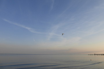 Fliegende Möwe beim Sonnenuntergang am Meer